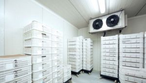 Cool room builder and installer Campbelltown